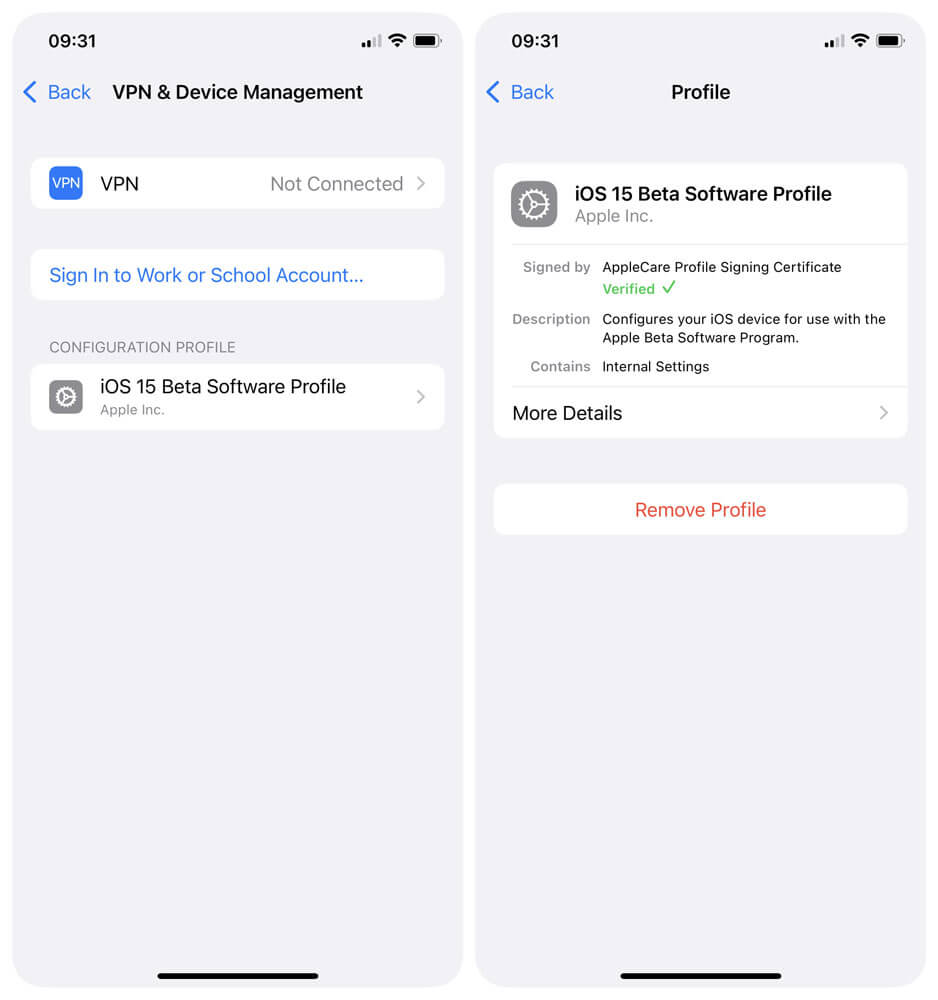 حذف پروفایل نسخه آزمایشی iOS 15